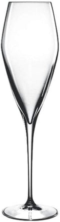 Luigi Bormioli Atelier 9.25 oz Champagne Glasses, 6 Count (Pack of 1), Clear