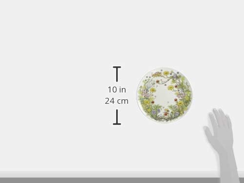 Noritake T50116A/4660-3 My Neighbor Totoro Plate 9.1 inches (23 cm), Snake Strawberry Hen, Microwave Safe, 1 Piece