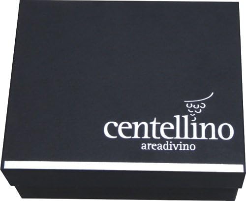 Areadivino Wine Aerator and Decanter