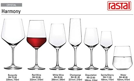 Harmony Wine Glasses by Rastal, 14 ounce, great option for wine, craft beer or water, Set of 6 (Stemless)