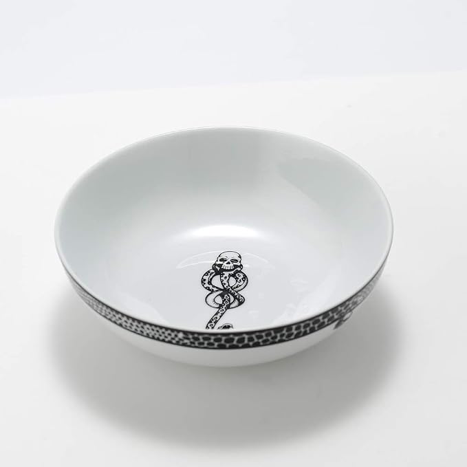 Harry Potter Voldemort Death Eater Dark Mark Porcelain 16 Piece Dinner Set, Includes Plates, Cups, and Bowls