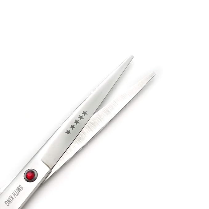 7.0 Inches Hair Cutting Scissors Set with Combs Lether Scissors Case,Hair cutting shears Hair Thinning shears For Personal and Professional (Silver)
