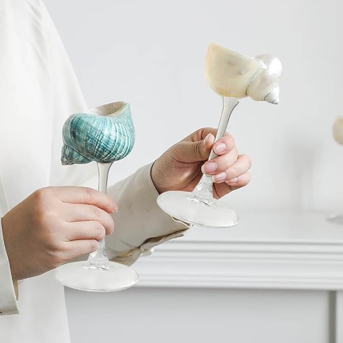 2Pcs Seashell Wine Glasses Wedding Wine Glasses Conch Goblet Martini Cocktail Glass Cup for Birthday Wedding Beach Bridesmaids Anniversary Party(B)