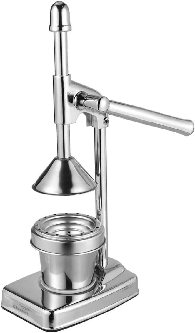 Manual Juicer Extractor Fruit Vegetable Press Machine No Electricity Needed Easy to Clean Stainless Steel