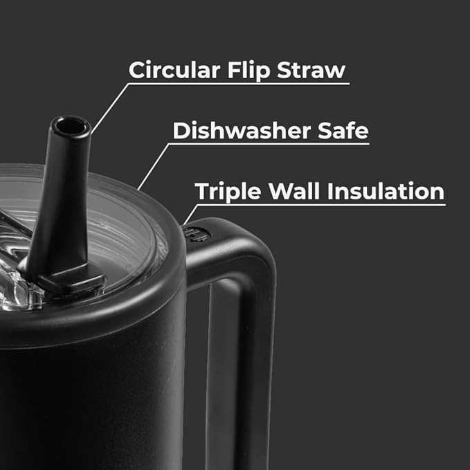 HydroJug Traveler 32oz, Insulated Tumbler with Handle & Straw, Black