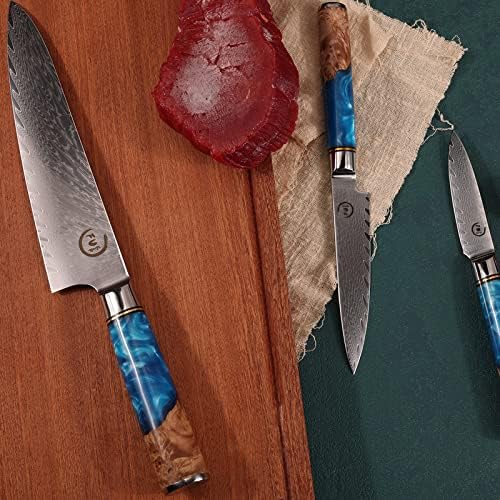 Chef Knife Set, Kitchen Knife Set of 3, Damascus VG10 Steel, Blue Handle Series
