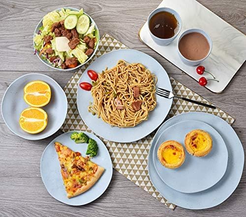 MORGIANA 8 pcs Reusable Dinnerware Set, Camping Dishes with Bowls Plates Dishes for 2 (Blue)