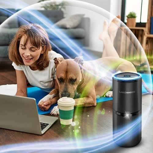 Lab Charge Small Ionic Air Purifier for Home & Bedroom – Silent HEPA Filter – Covers 250 Sq Ft - Free Cleaner for Pets, Hair, Smoke, Dust, Odors & Dander – Compact & Black Design