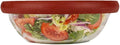 Food Huggers Replacement Lids for Glass Storage Containers | Silicone & Glass Lids that Don’t Crack | Fits Most Round Container Brands & Bowls | 100% Plastic Free | 1 Lid (X-Large), Terracotta