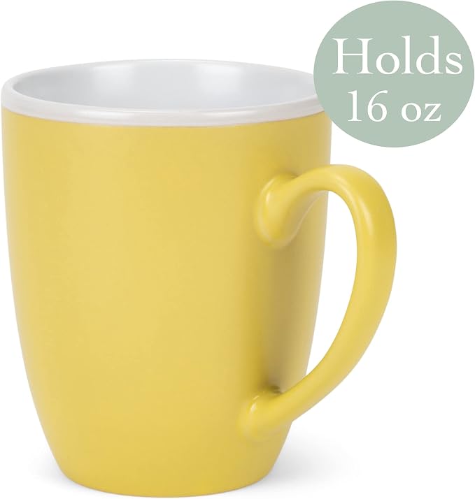 Elanze Designs Solid Color Yellow White Interior 16 ounce Matte Ceramic Mugs Matching Set of 4