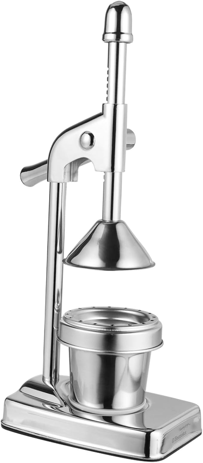 DECHOUS Manual Juice Extractor Machine Fruit and Vegetable Squeezer Stainless Steel Easy Cleaning No Power
