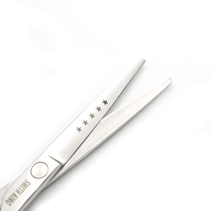 6.0 Inches Hair Cutting Scissors Set with Combs Lether Scissors Case,Hair cutting shears Hair Thinning shears For Personal and Professional (Silver)