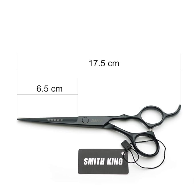 6.0 Inches Hair Cutting Scissors Set with Combs Lether Scissors Case,Hair cutting shears Hair Thinning shears For Personal and Professional (Matt black)