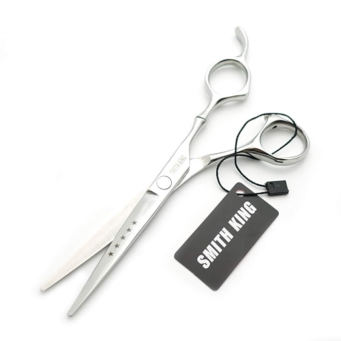 6.0 Inches Hair Cutting Scissors Set with Combs Lether Scissors Case,Hair cutting shears Hair Thinning shears For Personal and Professional (Silver)