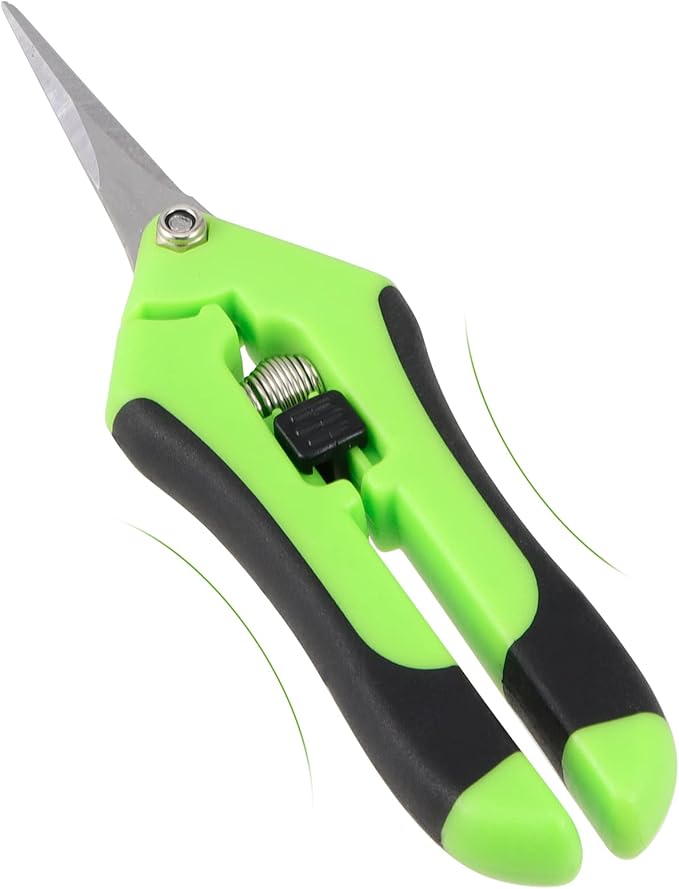 JEUIHAU 8 Pack 6.5 Inches Bud Trimming Scissors, Gardening Hand Pruning Shears with Straight Tip Stainless Steel Blades, Micro Tip Pruning Snips for Trimming Garden Herb Plant Flower, Green