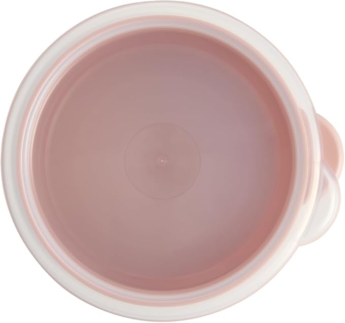 Skater SOT6-A One-Touch Seal Container, Small, 20.3 fl oz (600 ml), Airtight Container, Storage Container, Miffy