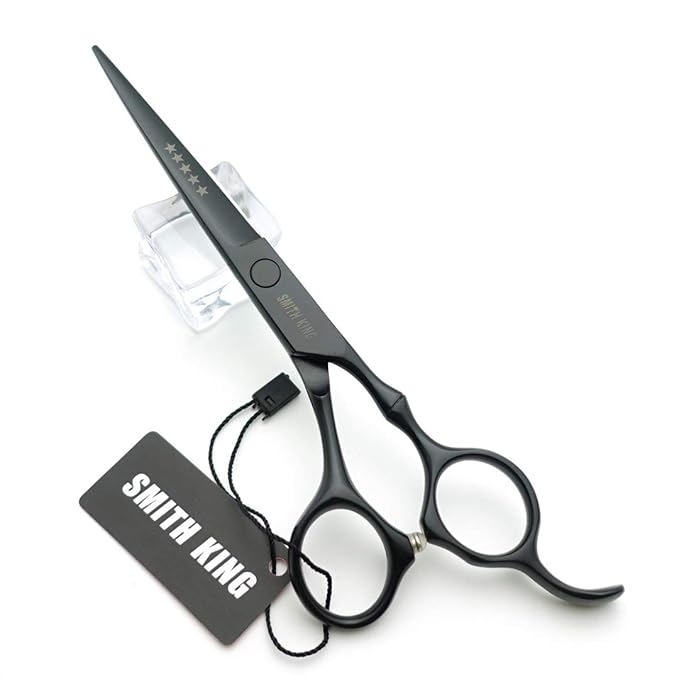 6.0 Inches Hair Cutting Scissors Set with Combs Lether Scissors Case,Hair cutting shears Hair Thinning shears For Personal and Professional (Matt black)