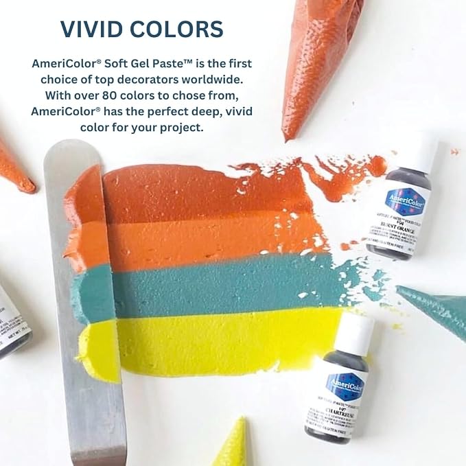 Food Coloring AmeriColor Student - Kit 2 12 .75 Ounce Bottles Soft Gel Paste Colors