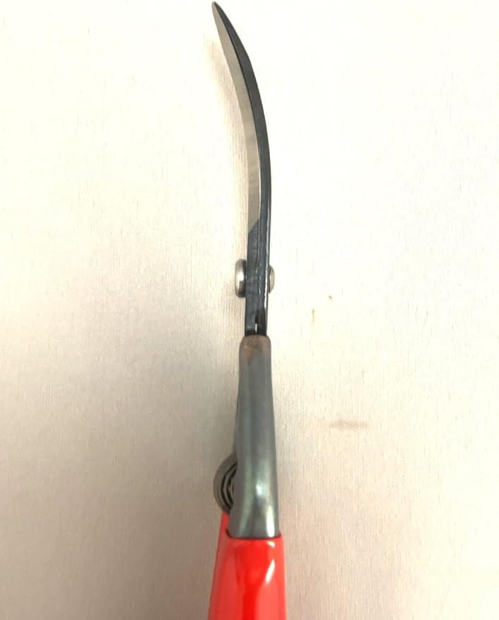 CHIKAMASA T-55CR, Professional Trimming Precise Curved Blade Scissors, Carbon Steel with razor-sharp edges, Curved Blade for precise trimming, harvesting vegetables and fruit, Black/Red