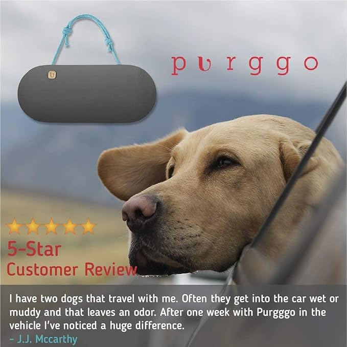 PURGGO Bamboo Charcoal Car Air Freshener [1x Gray] Bundle with Shoe Odor Eliminator Air Purifying Bags [2x Gray] - Last 365+ Days - Natural, No Chemicals - Air Freshener for Car, Shoes, Closet, Fridge