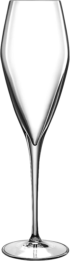 Luigi Bormioli Atelier 9.25 oz Champagne Glasses, 6 Count (Pack of 1), Clear