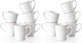famiware Coffee Mugs Sets for 6, 12 oz Mug Set, Coffee Cups with Handle for Coffee, Tea, Cocoa and Milk, Microwave and Dishwasher Safe, White Floral (Pack of 2)