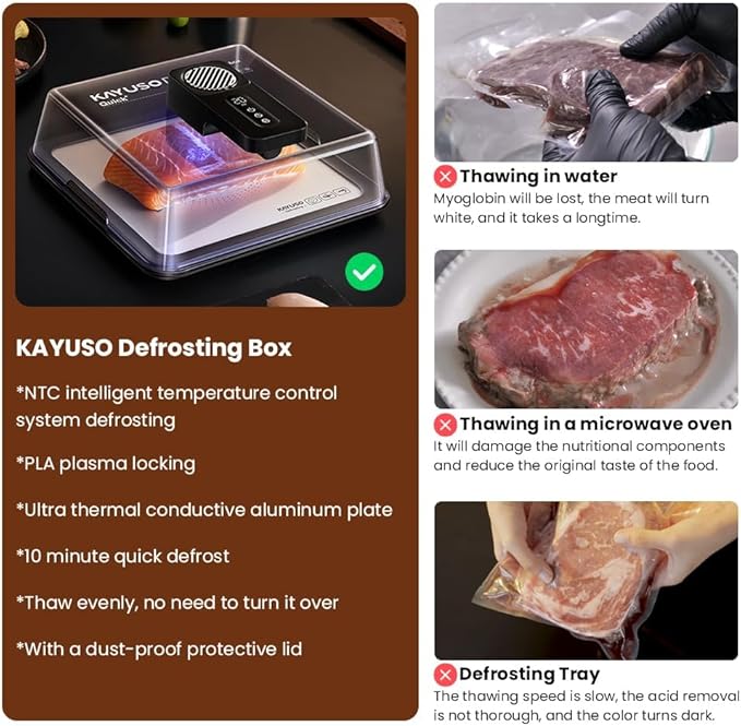 Defrosting Tray for Frozen Meat, USB Rechargeable Meat Defrosting Box with Lid, Aluminum Defrosting Tray BBQ, Airflow Technology, Non Stick Easy to Clean (Black)