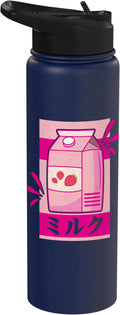 Kawaii Japanese Pink Retro 90s Strawberry Milk Carton Stainless Steel Insulated Water Bottle
