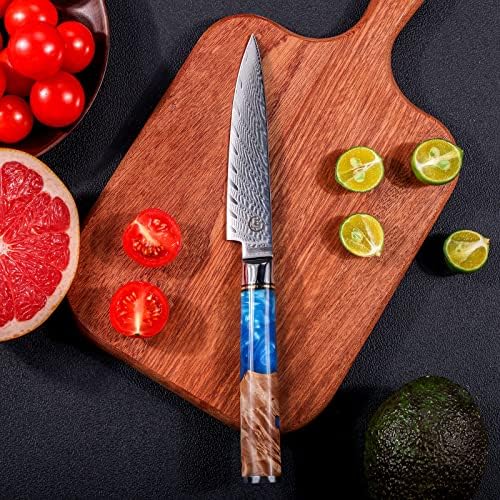 Chef Knife Set, Kitchen Knife Set of 3, Damascus VG10 Steel, Blue Handle Series