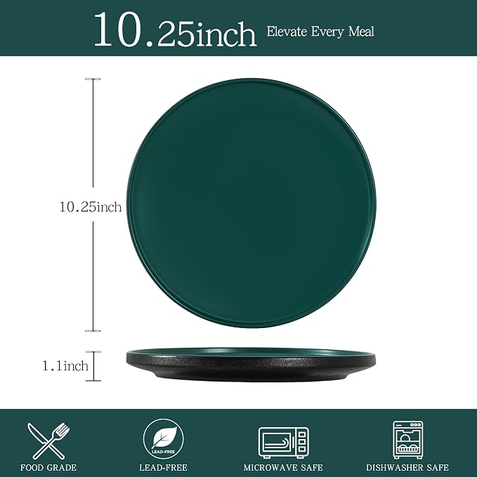 10.25 Inch Dinner Plates Set of 4, Matte Glaze Stoneware Plate for Steak & Pasta, Microwave and Dishwasher Safe, Ceramic Plates for Everyday Dining, Matte Green
