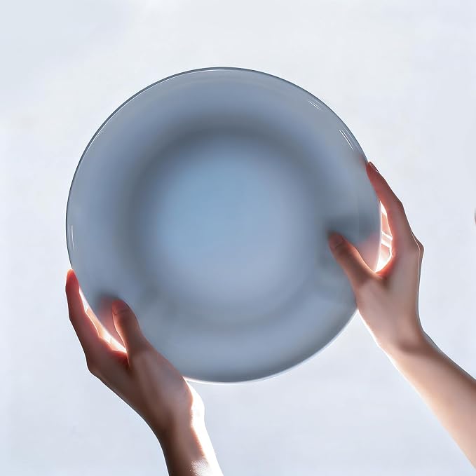 KINGSTONE 18-Piece Bone China Dinnerware Set for 6, Lightweight Porcelain Round Plates and Bowls Set, Durable Scratch Resistant Ceramic Dinner Set, Microwave & Dishwasher Safe, Misty Blue