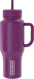 Coldest Tumbler with Handle and Straw - 100% Leak Proof Insulated Tumbler with Lid and Straw (3 Lids) - Stainless Steel Tumblers for Women & Men - Cup Holder Friendly Base, 36 oz (Purple Oasis)