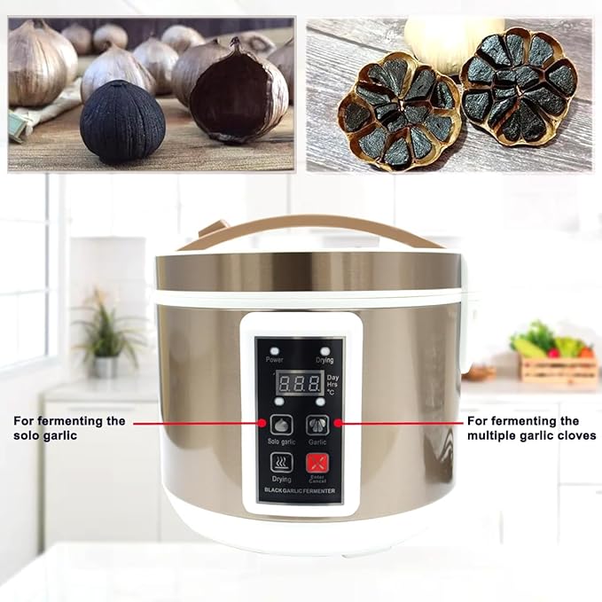 INTBUYING 110V 5L Garlic Fermenter - Automatic Black Garlic Maker - Intelligent Control