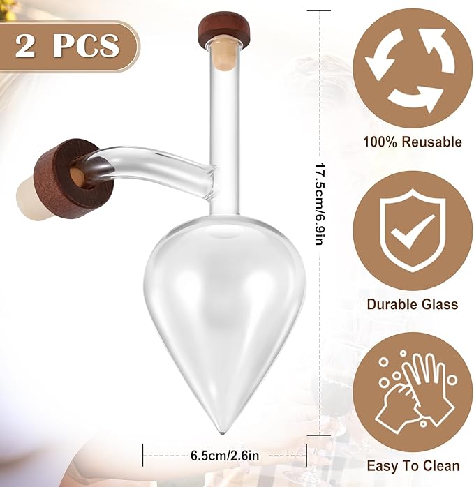 CHENGU 2 Pcs Wine air Aerator Decanter with Aerator Pourer Red White in Bottle Aerators Wine Gift Accessories Makes Your Wines Taste Better