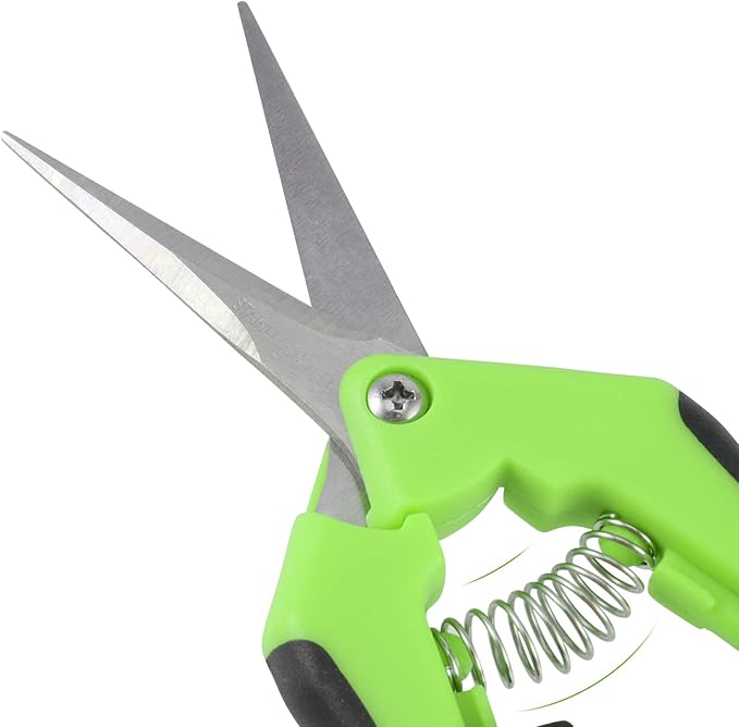 JEUIHAU 8 Pack 6.5 Inches Bud Trimming Scissors, Gardening Hand Pruning Shears with Straight Tip Stainless Steel Blades, Micro Tip Pruning Snips for Trimming Garden Herb Plant Flower, Green