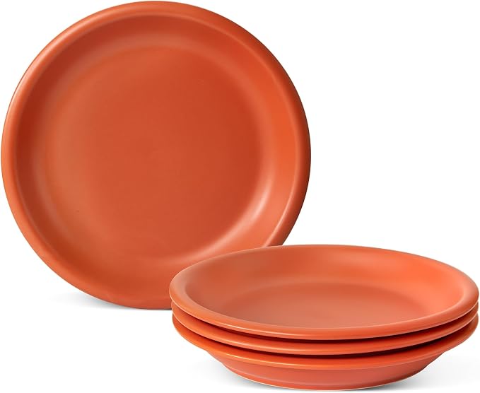 Timeworn Clay Dinner Plates, Set of 4, 10.25-Inch, Terracotta Red | Hand-Finished, Stoneware, Microwave Safe, Dishwasher Safe