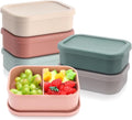Honeydak 6 Pcs Silicone Bento Box for Adults, 3 Compartment Lunchable Food Container for Women Men, Leak Proof Microwave Dishwasher Freezer Safe (Bright Colors)