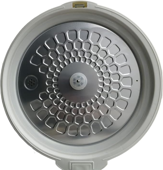 TECHTONGDA 5L Black Garlic Fermenter 110V Garlic Cooker 3D Heating Full Automatic Intelligent Control