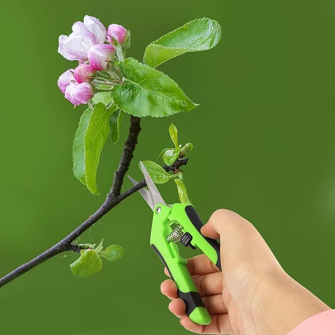 JEUIHAU 8 Pack 6.5 Inches Bud Trimming Scissors, Gardening Hand Pruning Shears with Straight Tip Stainless Steel Blades, Micro Tip Pruning Snips for Trimming Garden Herb Plant Flower, Green