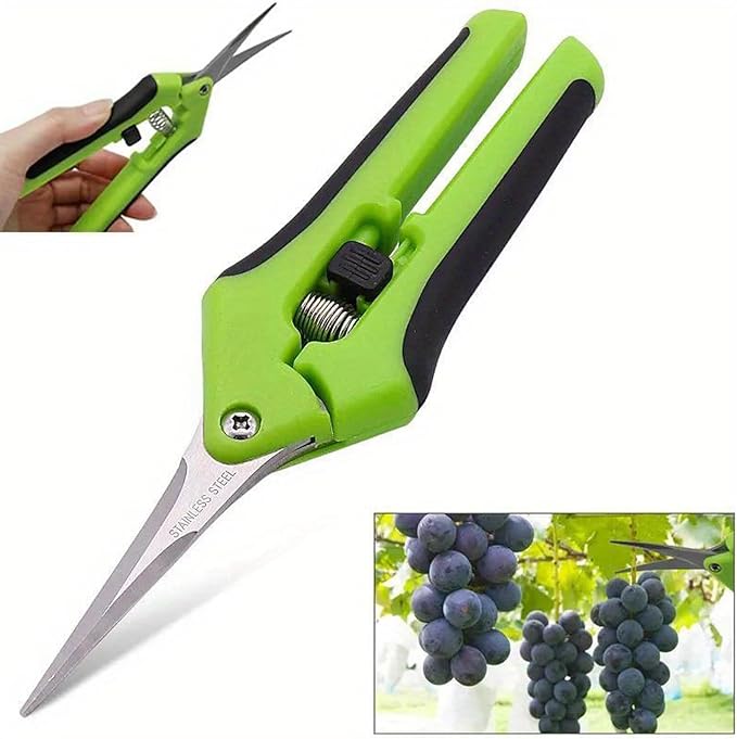 JEUIHAU 8 Pack 6.5 Inches Bud Trimming Scissors, Gardening Hand Pruning Shears with Straight Tip Stainless Steel Blades, Micro Tip Pruning Snips for Trimming Garden Herb Plant Flower, Green