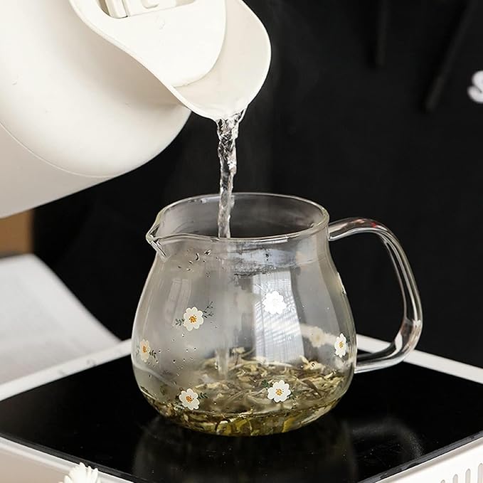 High Borosilicate Glass Water Pitcher With Filter Cover, 16.5oz Small Teapot For Juice, Milk, Hot & Cold Drinks
