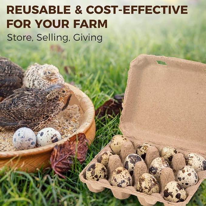 50 Pack Quail Egg Cartons, 3x4 Style Paper Pulp Quail Egg Trays, Sturdy & Reusable Quail Egg Holder 12 Count Dozen Quail Egg Storage Tray for Farmers, Home Use & Transport
