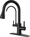 FORIOUS Black Kitchen Faucets with Water Filter, 2 in 1 Stainless Steel Pull Down Sink Faucet and Purified Water Faucet Rustic High Arc Single Handle with Detachable Deck for 1 or 3 Hole