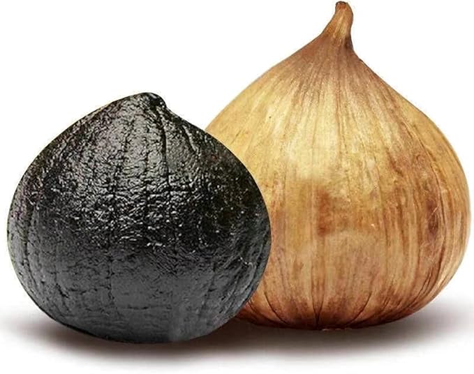 TECHTONGDA 5L Black Garlic Fermenter 110V Garlic Cooker 3D Heating Full Automatic Intelligent Control
