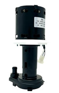 12-2919-21 Ice Maker Pump for Scotsman SC12-2919-21, 12291921-120V - 2 Year Warranty