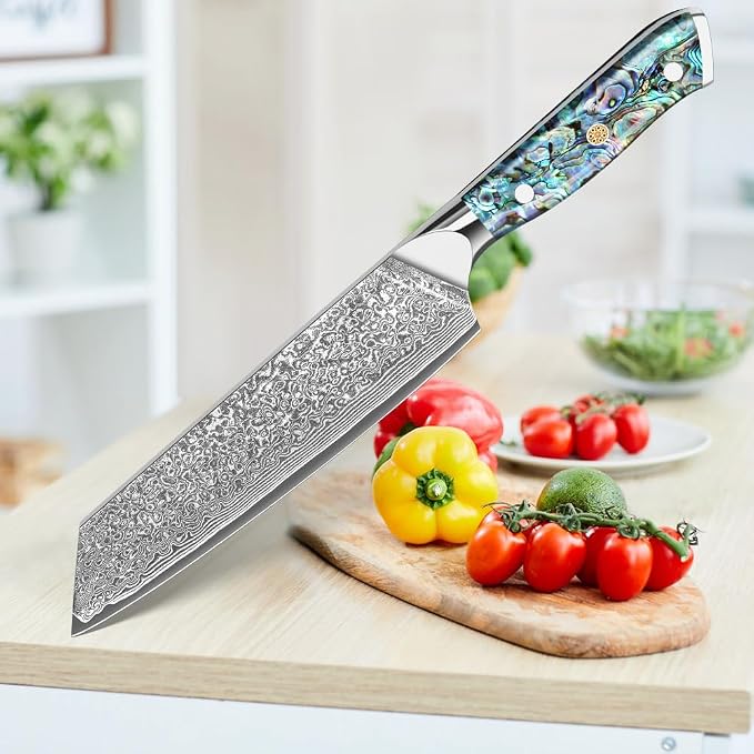 KEENZO Damascus Kiritsuke Knife 8 inch, Professional Chef Knife, Sharp Hand-Forged Kitchen Knives,Japanese 67-Layers Damascus Steel Cooking Knife,Ergonomic Abalone Shell Ressin Handle with Gift Box