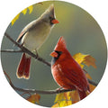Andreas Silicone Golden Morning Cardinals 8" Non-Slip Trivet/Pot Holder/Hot Pad–100% Cotton Layer Encapsulated in Silicone–Heat Resistant to 600°F– Flexible & Dishwasher Safe– USA Made, TR-HB3242