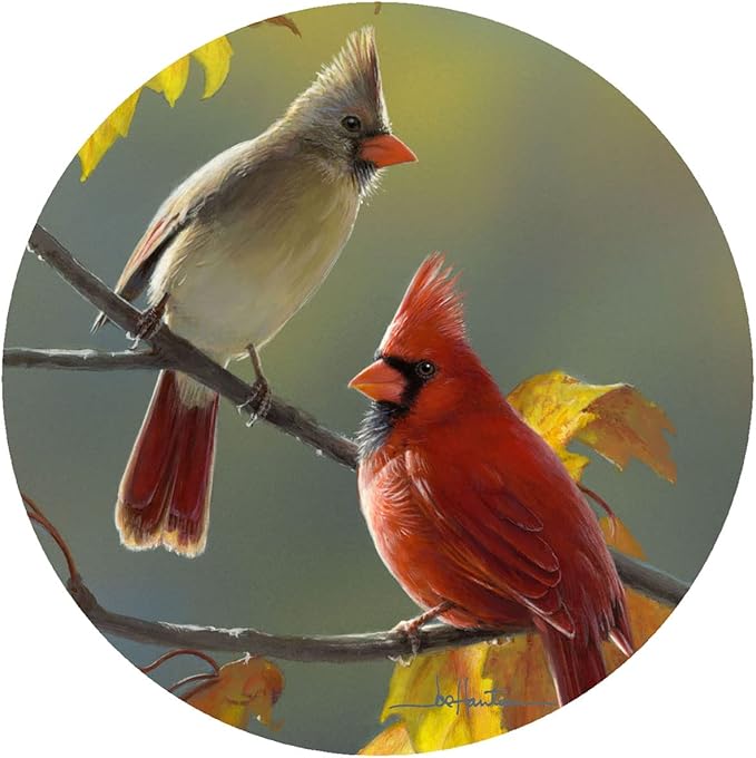 Andreas Silicone Golden Morning Cardinals 8" Non-Slip Trivet/Pot Holder/Hot Pad–100% Cotton Layer Encapsulated in Silicone–Heat Resistant to 600°F– Flexible & Dishwasher Safe– USA Made, TR-HB3242