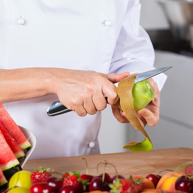 SHAN ZU Damascus Knife Peeling Knives Japanese Fruit and Vegetable Knives 67 Layer Steel Kitchen Knife with G10 Handle