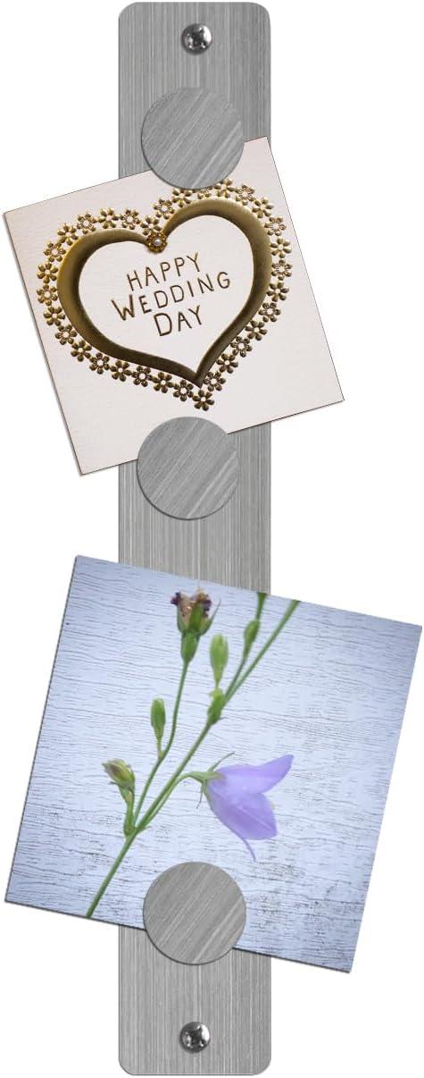 Three by Three Seattle 14 x 2 Inch Metal Mini Strip Frameless Magnetic Bulletin Board with 3 Magnets for Memos, Photos, Lists, and More in Office, Home, or School Décor (3 Pack, Stainless)